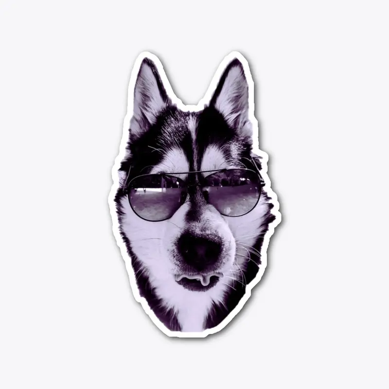 CoolLikeAHusky - Black/Purpel