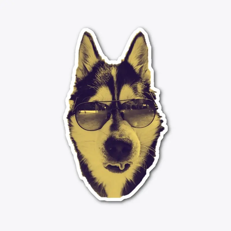 CoolLikeAHusky - Black/Yellow